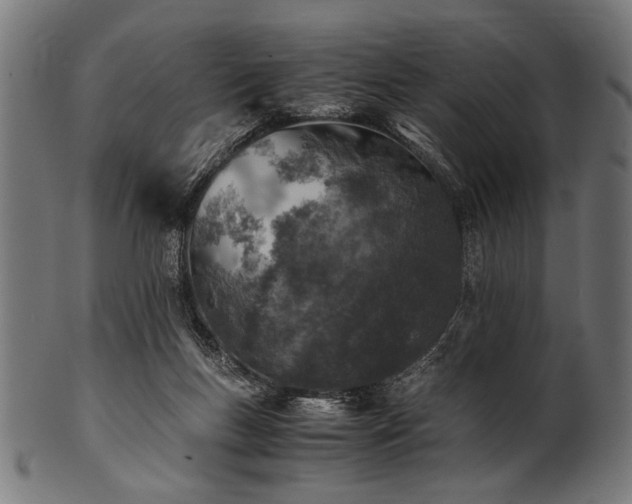 X0000100950167200806241512