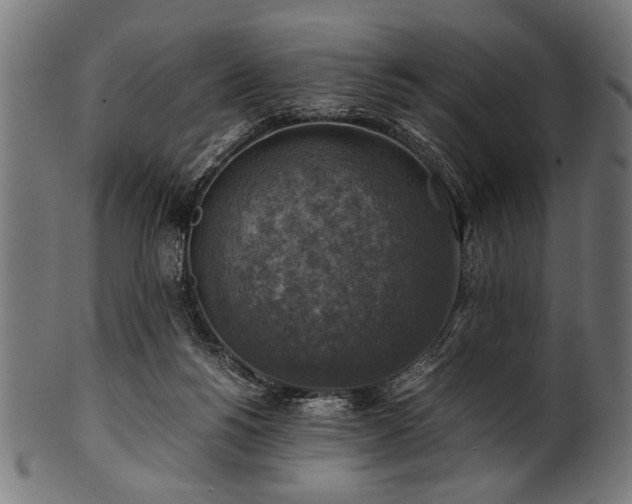 X0000100950168200806241512