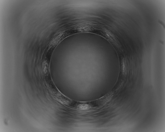 X0000100950169200806241512