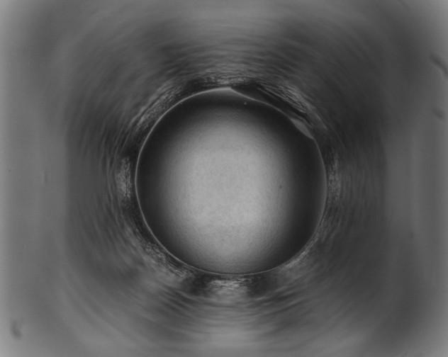 X0000100950170200806241512