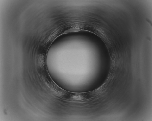X0000100950171200806241512