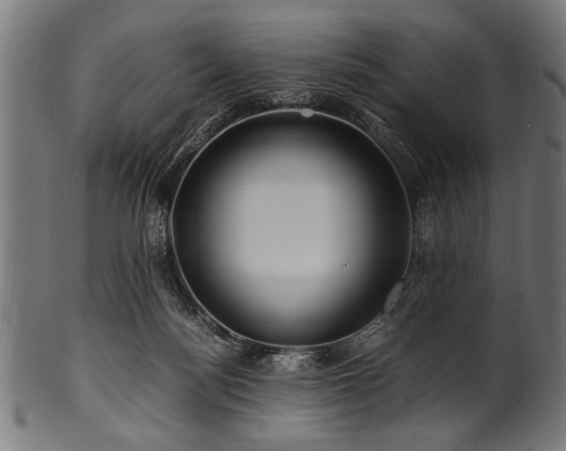 X0000100950172200806241512
