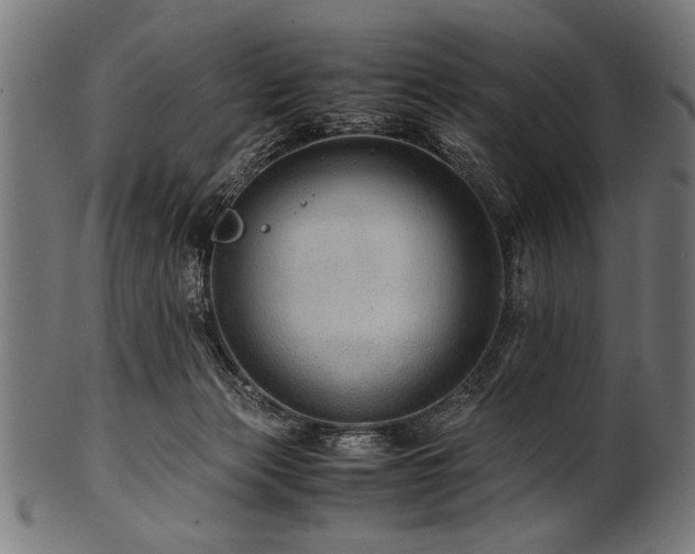X0000100950173200806241512
