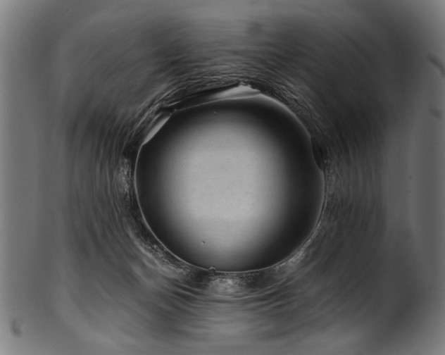 X0000100950174200806241512