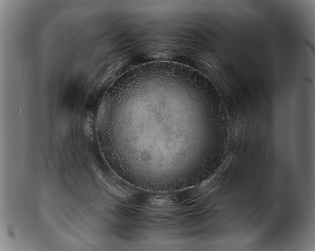 X0000100950175200806241512