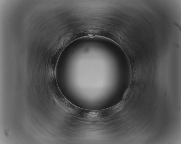 X0000100950176200806241512
