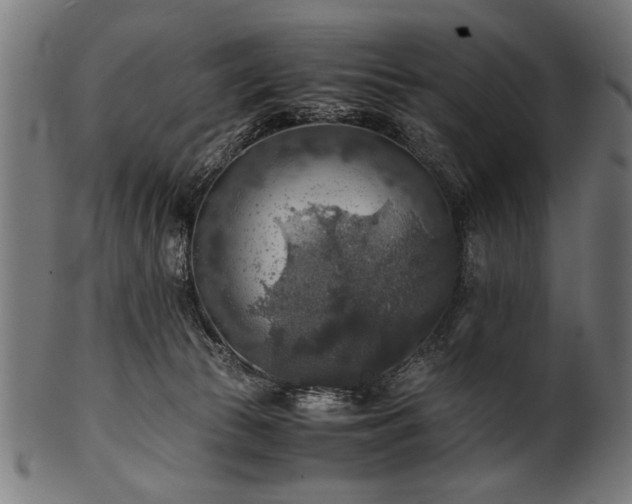 X0000100950177200806241512