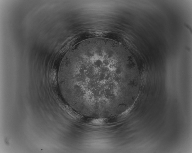 X0000100950178200806241512