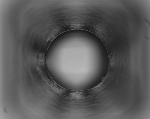 X0000100950179200806241512