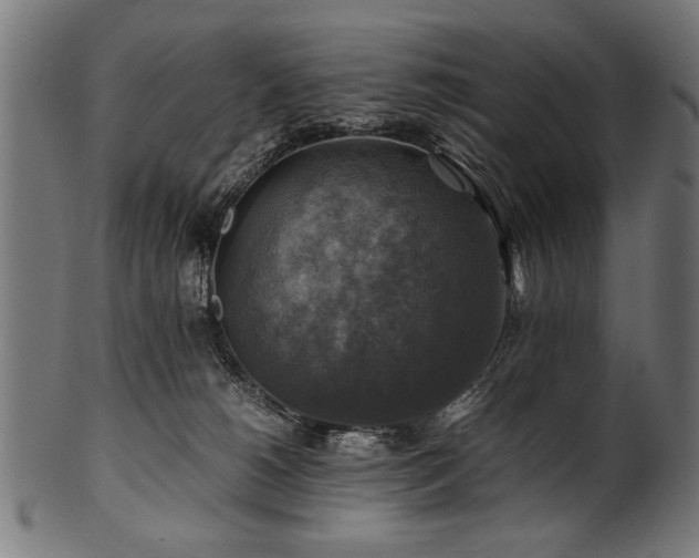 X0000100950180200806241512