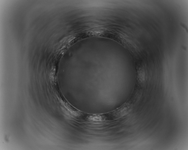 X0000100950181200806241512