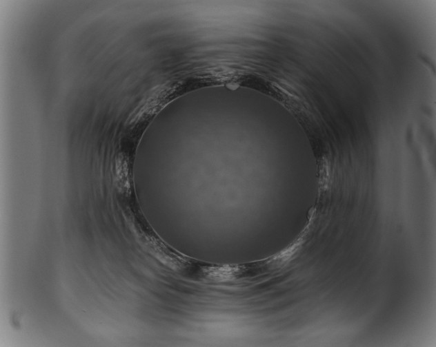 X0000100950182200806241512