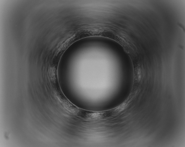 X0000100950184200806241512