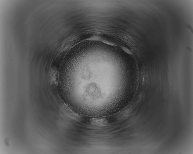 X0000100950185200806241512