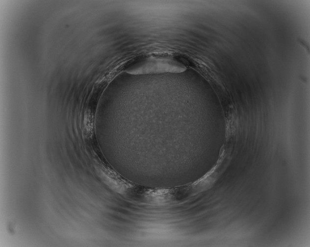 X0000100950186200806241512
