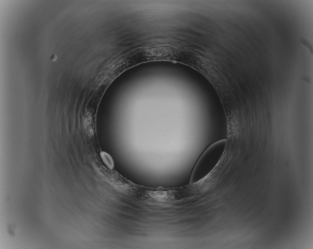X0000100950187200806241512