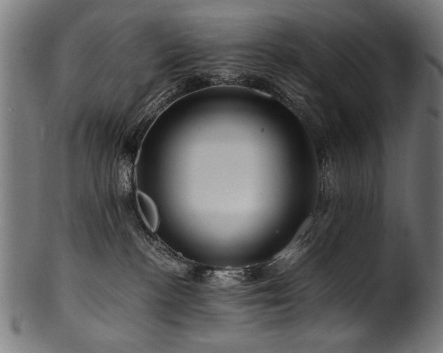 X0000100950188200806241512