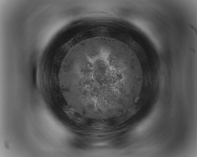 X0000100950189200806241512