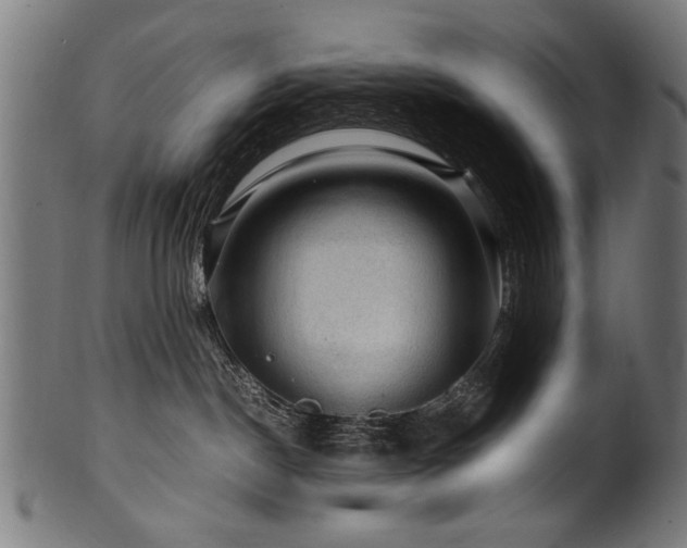 X0000100950190200806241512