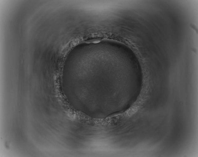X0000100950192200806241512