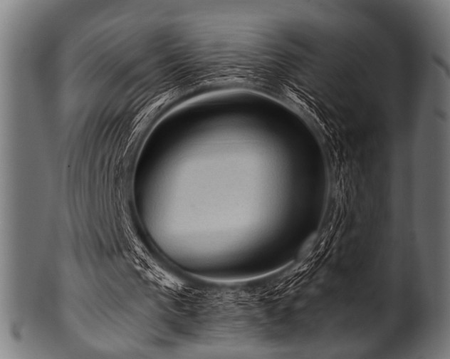 X0000100950193200806241511