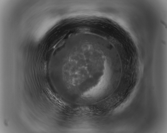 X0000100950194200806241511