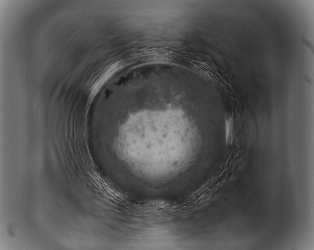 X0000100950195200806241511