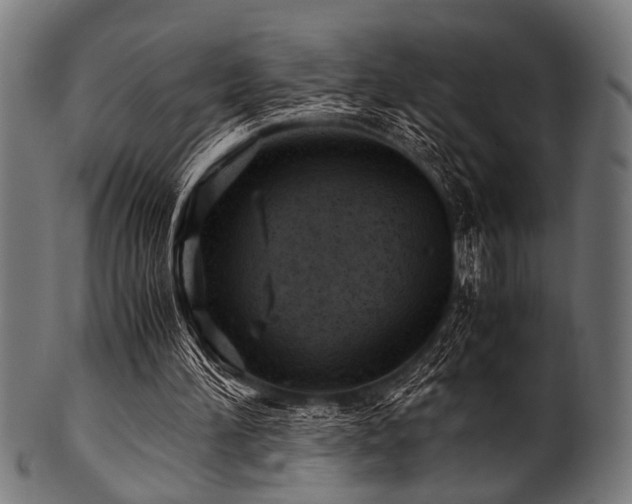 X0000100950196200806241511
