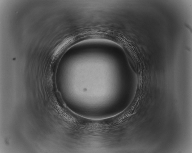 X0000100950197200806241511