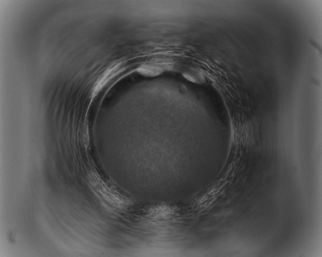 X0000100950198200806241511