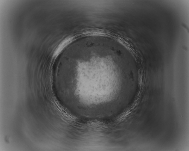 X0000100950199200806241511