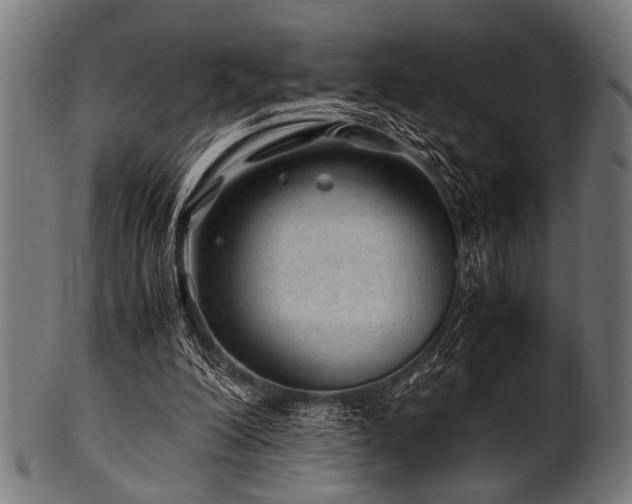 X0000100950200200806241511