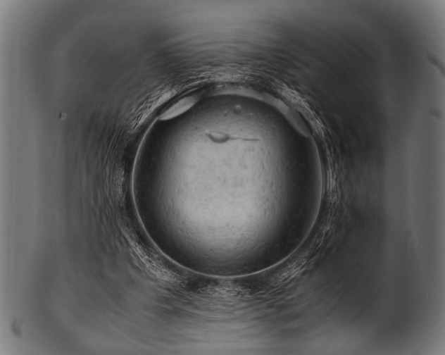 X0000100950201200806241511