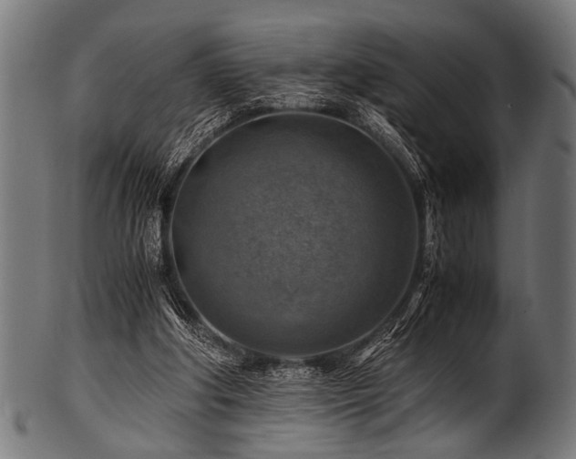 X0000100950202200806241511