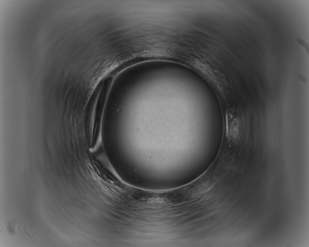 X0000100950204200806241511