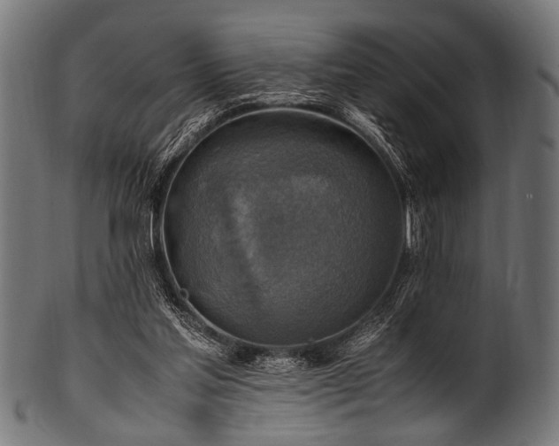 X0000100950205200806241511