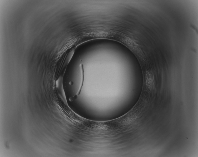 X0000100950206200806241511