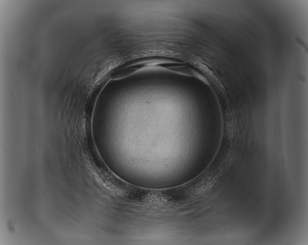 X0000100950207200806241511