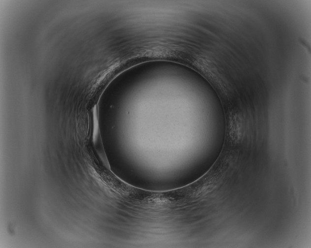 X0000100950208200806241511