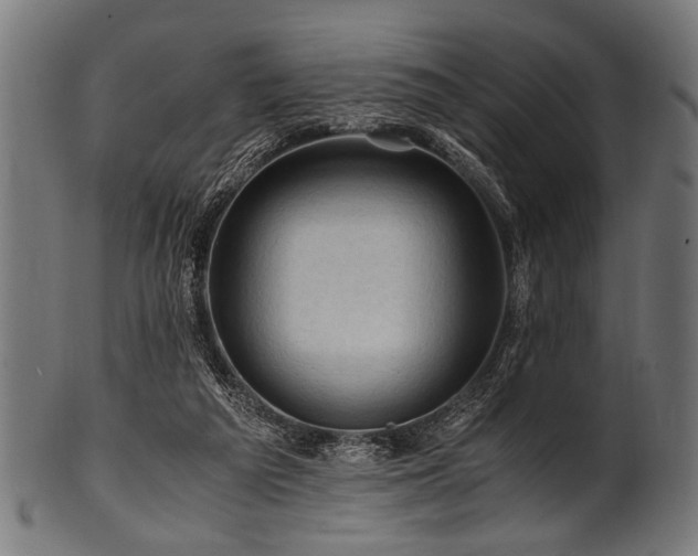 X0000100950209200806241511