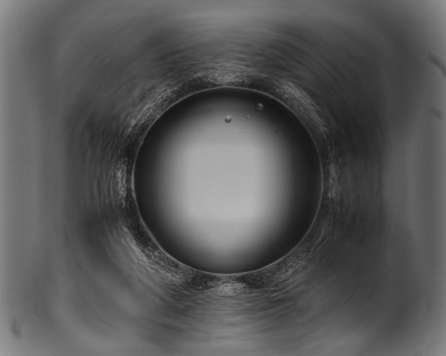 X0000100950210200806241511