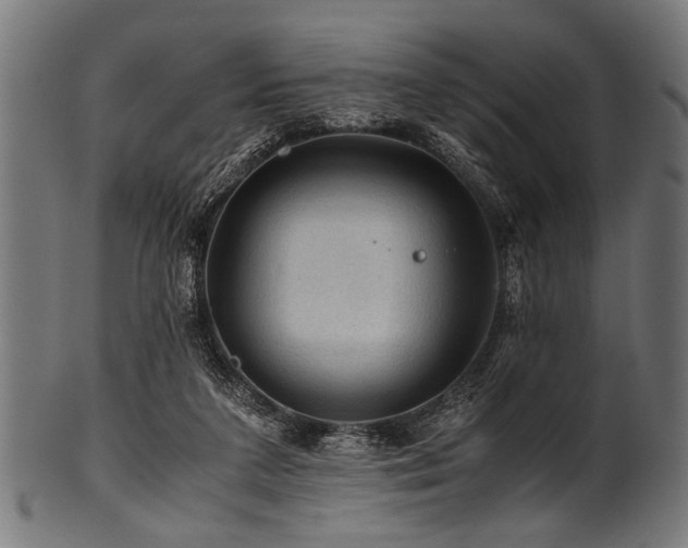 X0000100950211200806241511
