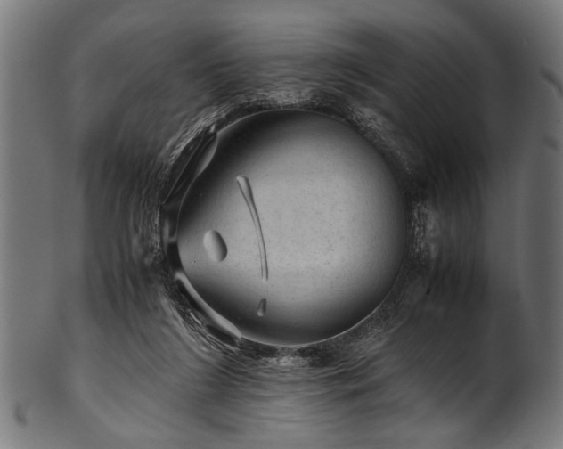 X0000100950212200806241511