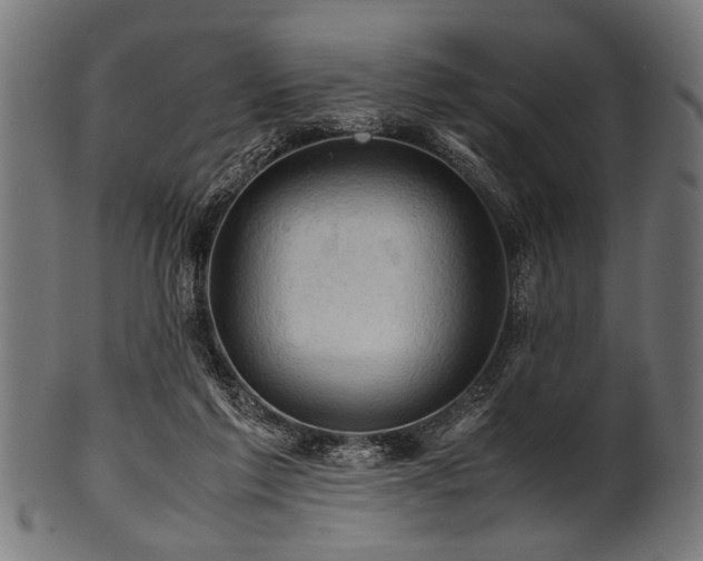 X0000100950213200806241511