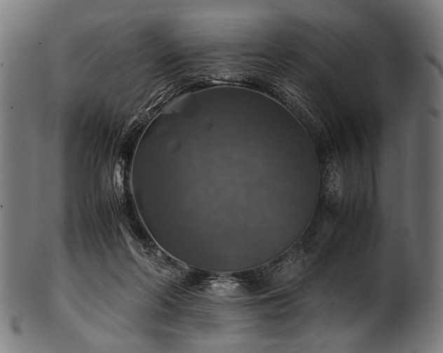 X0000100950214200806241511