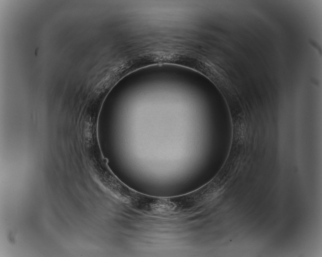 X0000100950215200806241511