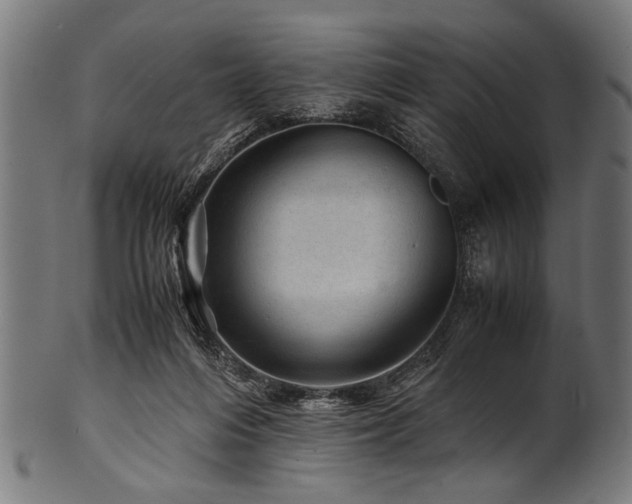 X0000100950216200806241511