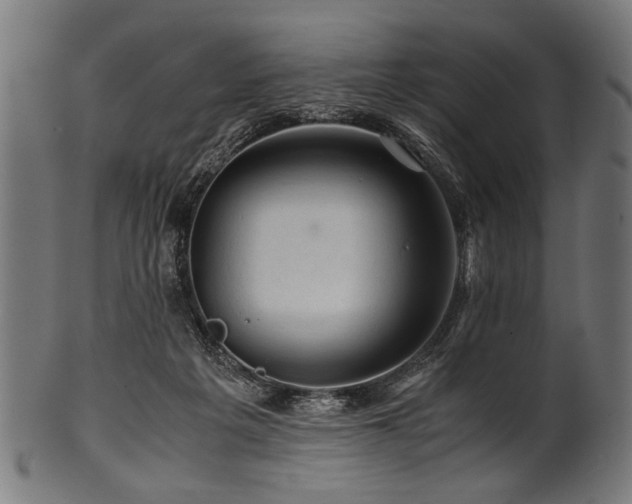 X0000100950217200806241511
