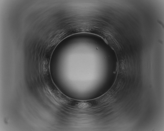 X0000100950218200806241511