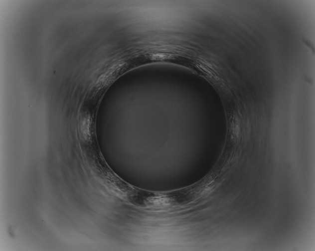 X0000100950219200806241511